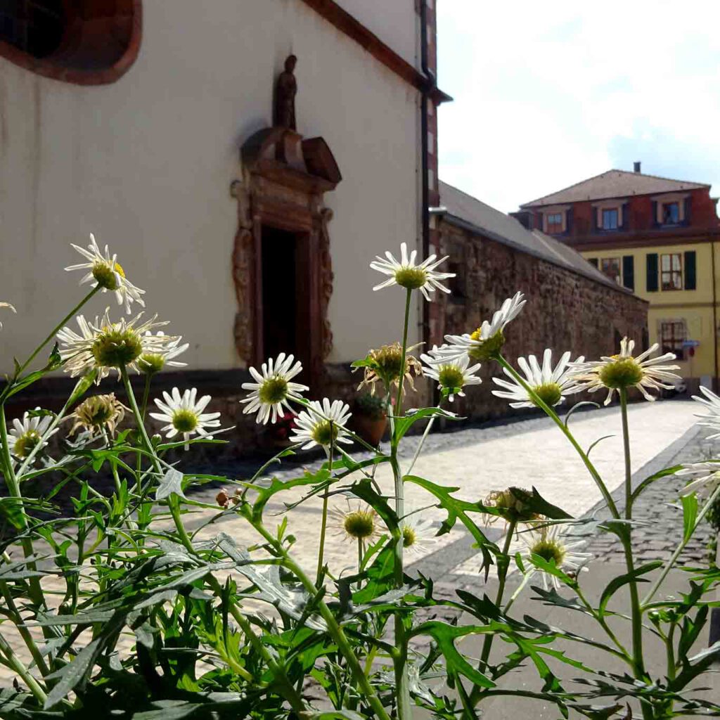 st maria fulda pforte. WordPress catastrophic failures