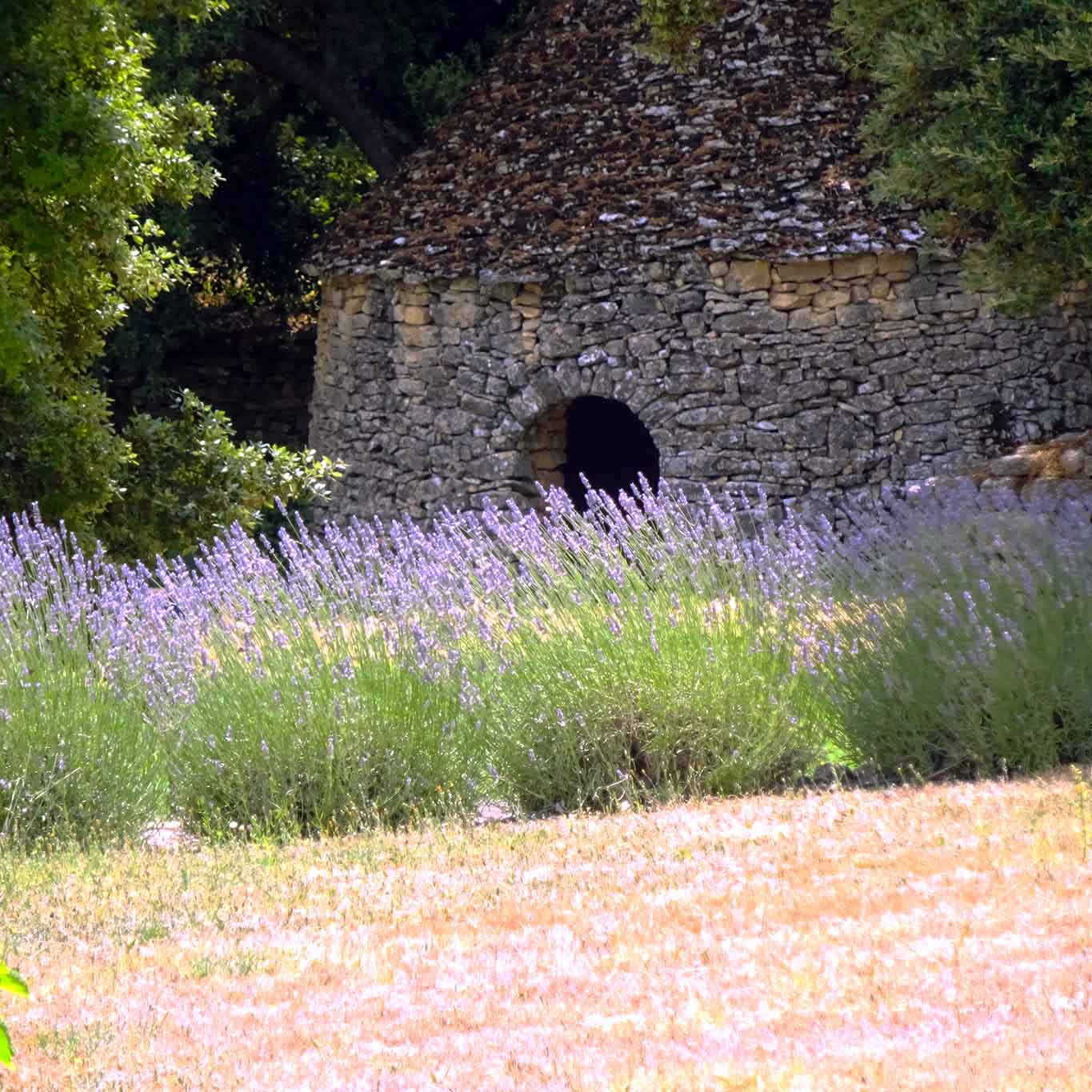 stone hut prieuré de ganagobie