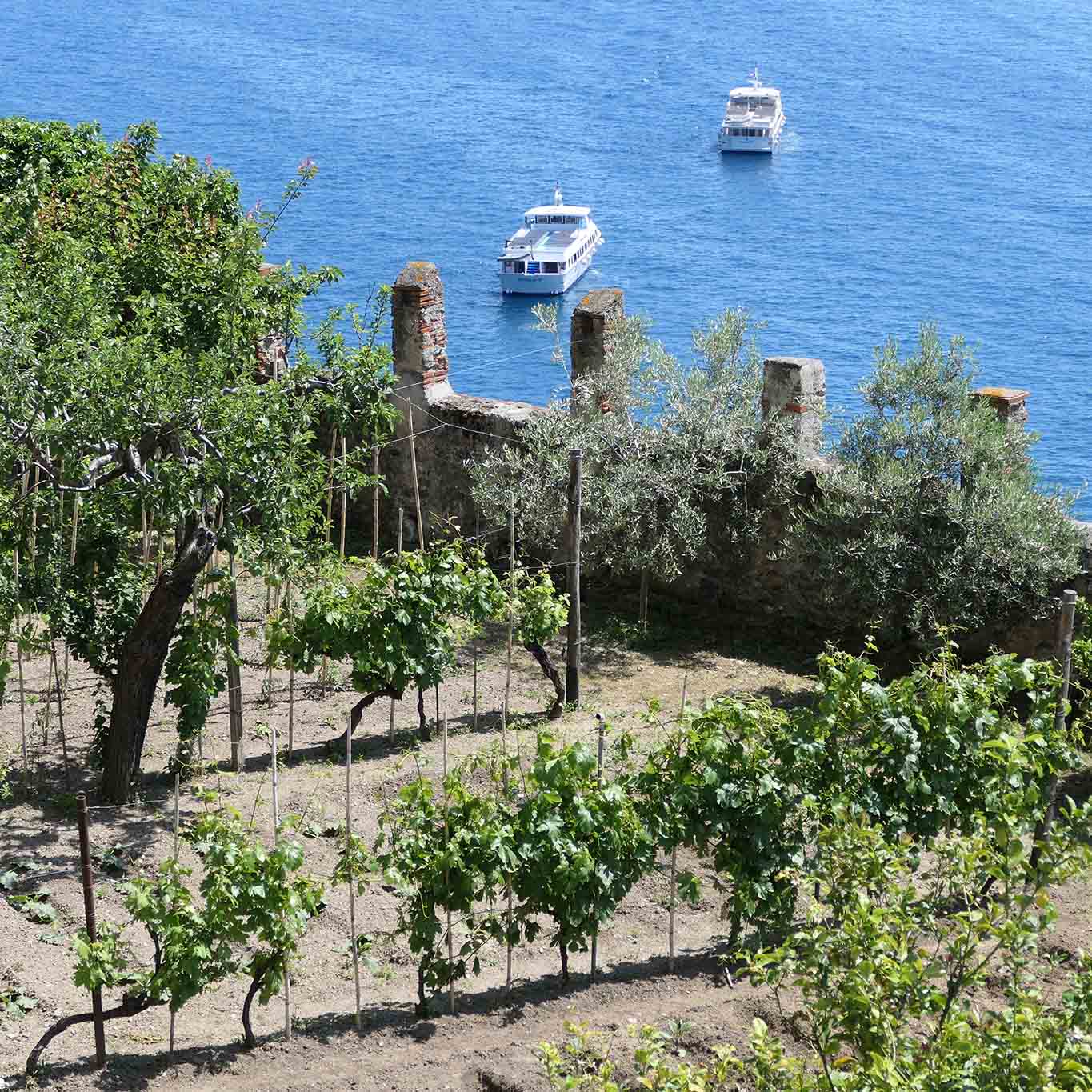 Die Terrasse des Kapuziner-Konvents bietet einen beglückenden Blick aufs blaue Wasser des Mittelmeers.