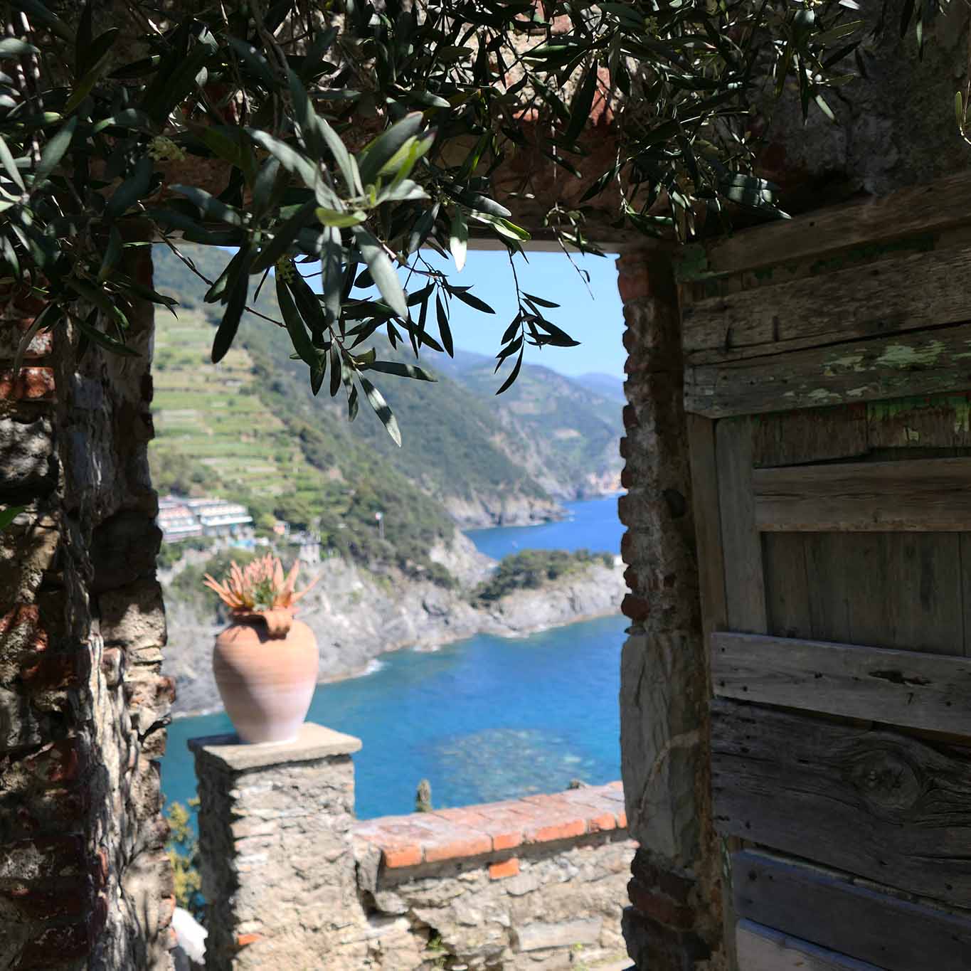 Blick aus der Gartentür auf die Küste vor dem ligurischen Städtchen Monterosso.