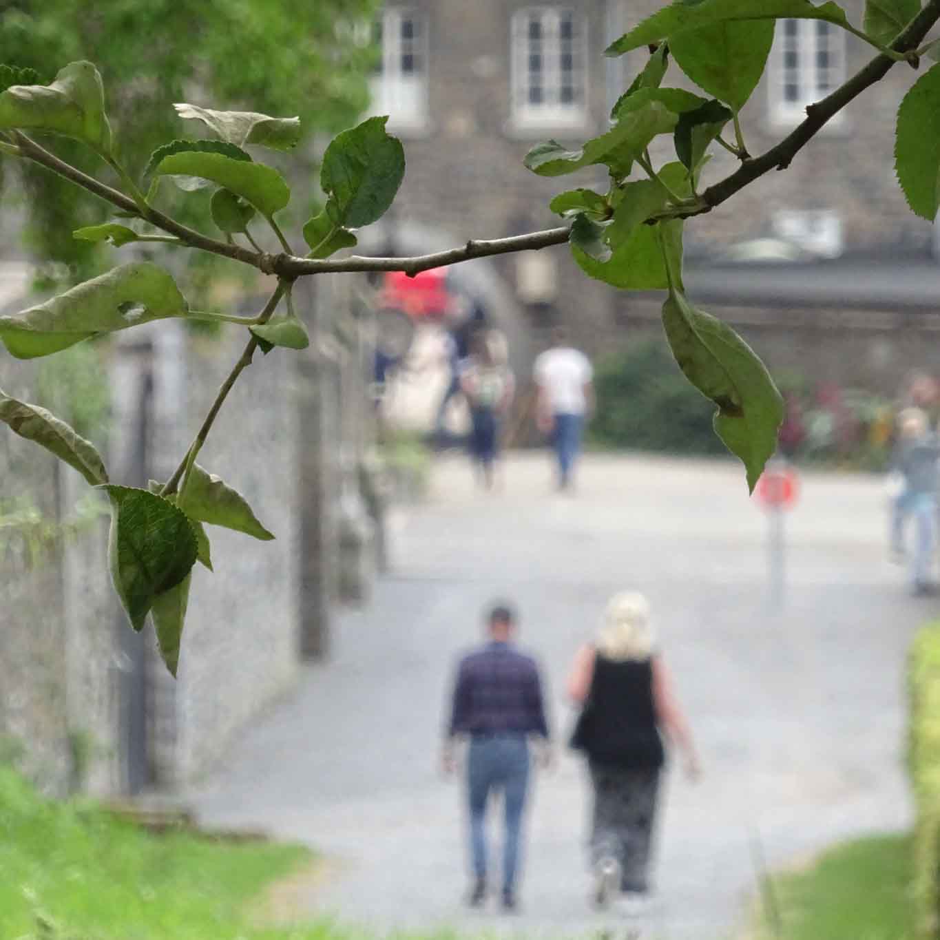 walk abbaye du val dieu