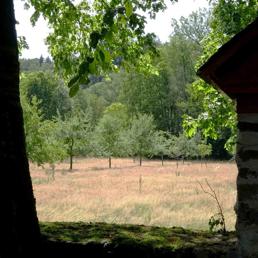 Die Streuobstwiese. zisterzienser abtei marienstatt obstgarten
