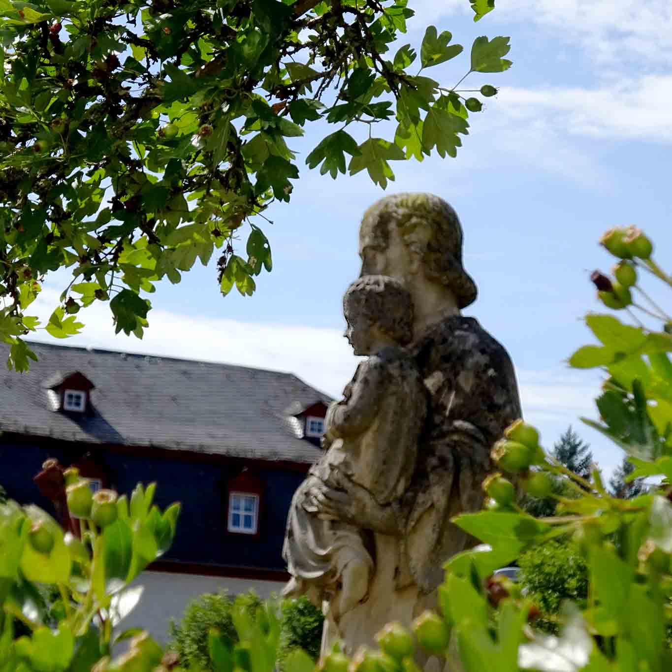 zisterzienser abtei marienstatt weissdorn