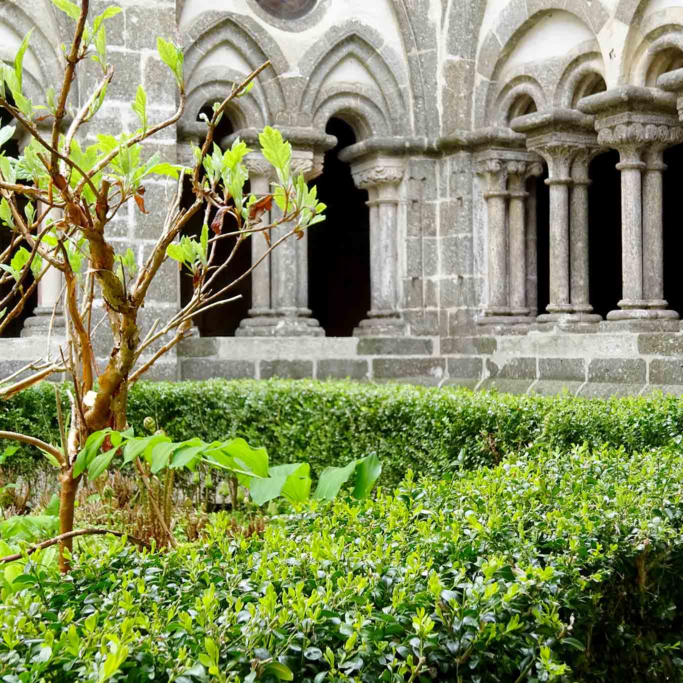 zisterzienser stift zwettl kreuzgang mir baum