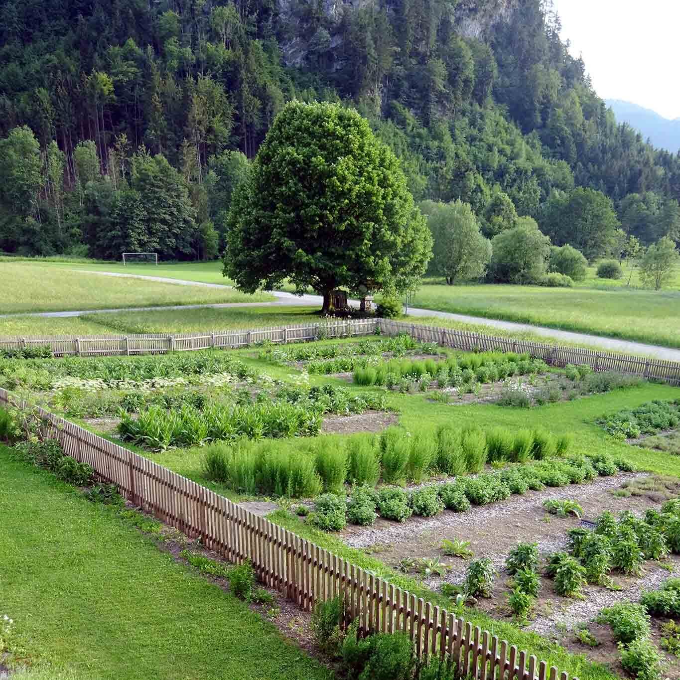 Klostergarten Gut Aich Kräuteranbau mit einer edlen Randnote eines Idioten der WordPress