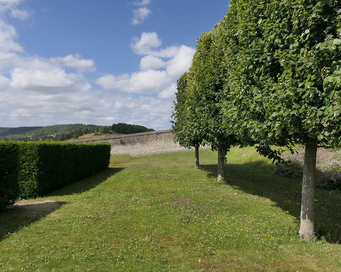 les arbres saint george de boscherville