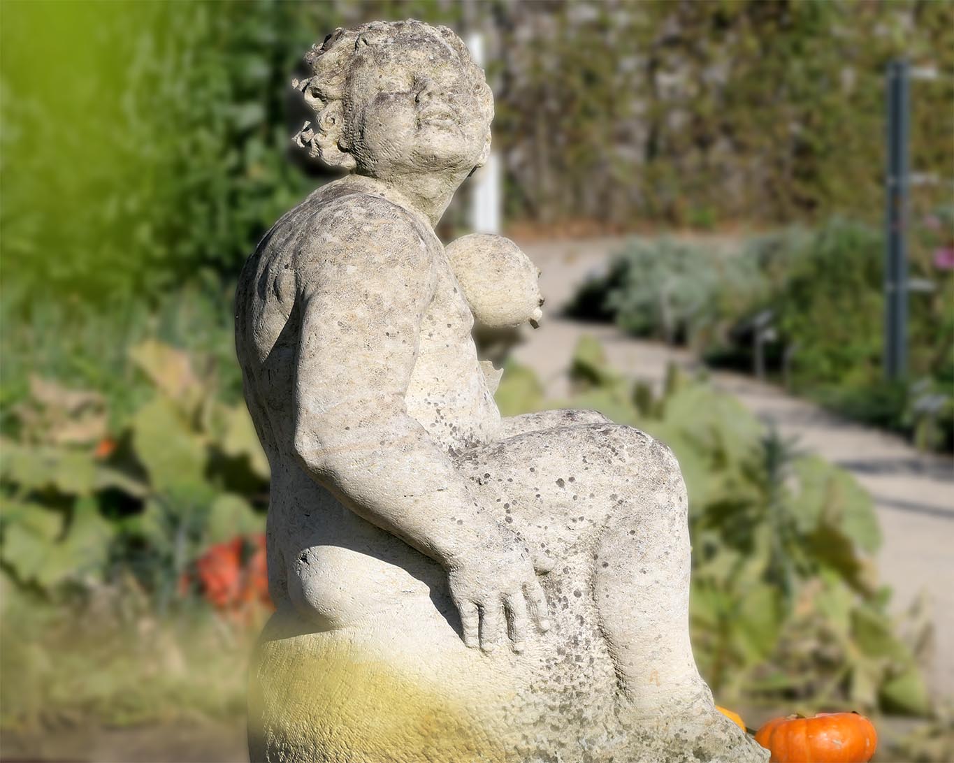 Putto im Kräutergarten Kloster Neuzelle schaut versteinert in die Herbstsonne.