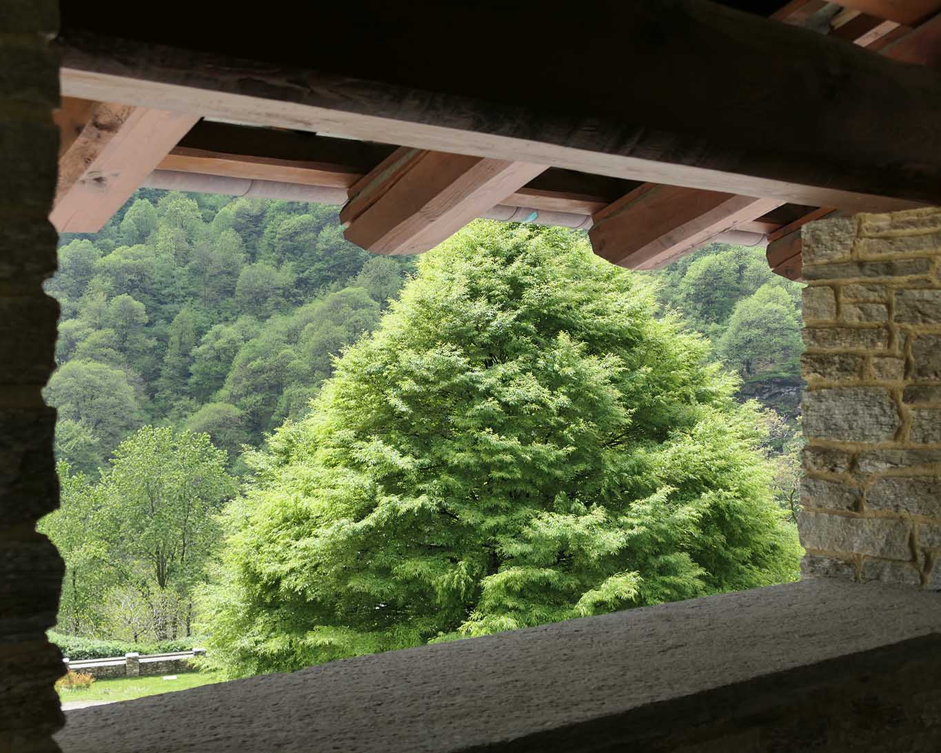 Ausblick aus der Klosterkirche des Monastero Dominus Tecum.