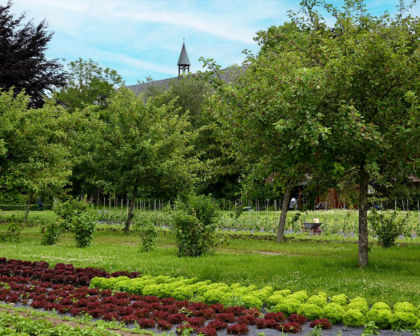 Ein typischer Klostergarten ernährt die Gemeinschaft und befindet sich innerhalb der Klostermauern.