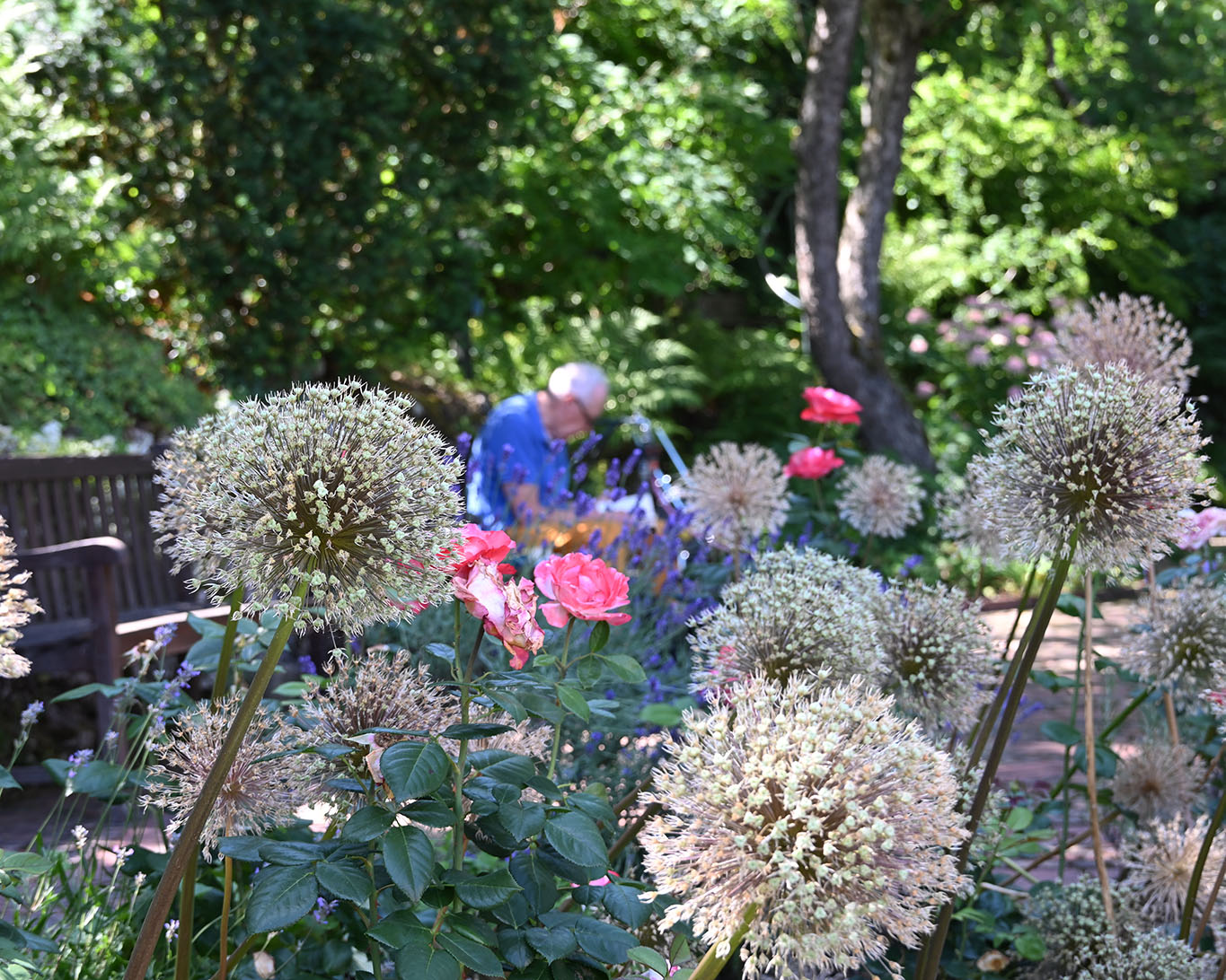 Besucher:innen schätzen den Klostergarten als ruhigen schattigen Ort zum Ausruhen und Besinnen.