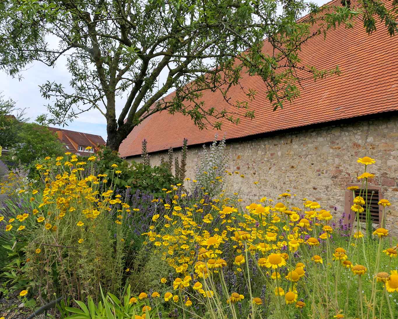 Klostergarten Lorsch hinter der Zehntscheune.