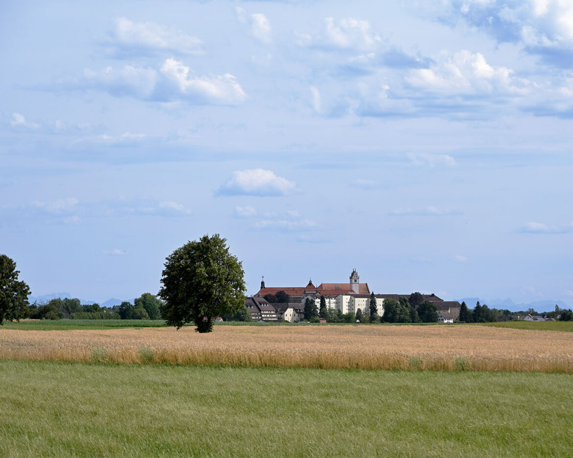 Kloster Reute ist ein Franziskanerinnenkloster in Oberschwaben und hat sich dem biologischen Anbau von Kräutern verschrieben.