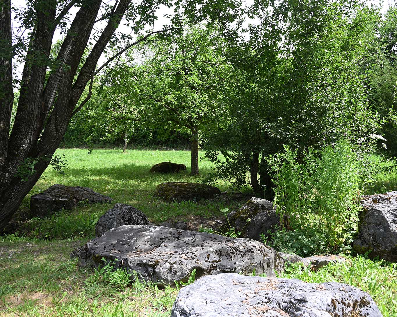 Die Gartenlandschaft des Franziskusgartens in Sießen ist durchpalnt und folgt einer Inszenierung von Natürlichkeit.