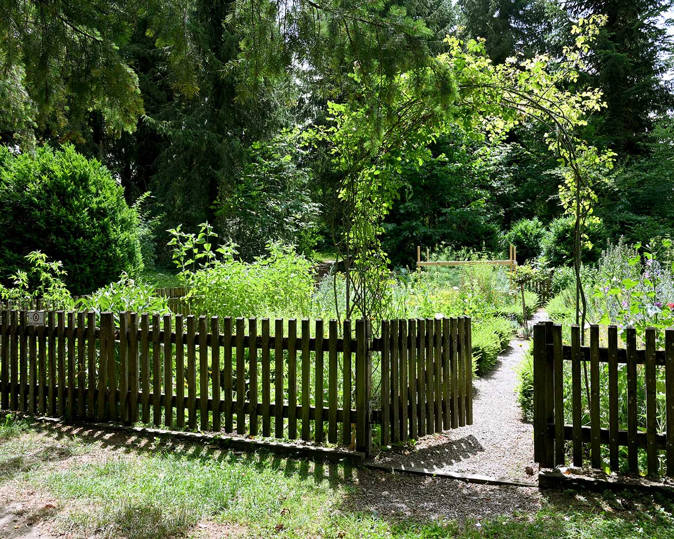Mitten im Franziskusgarten des Klosters Sießen gibt es einen kleinen Kräutergarten.