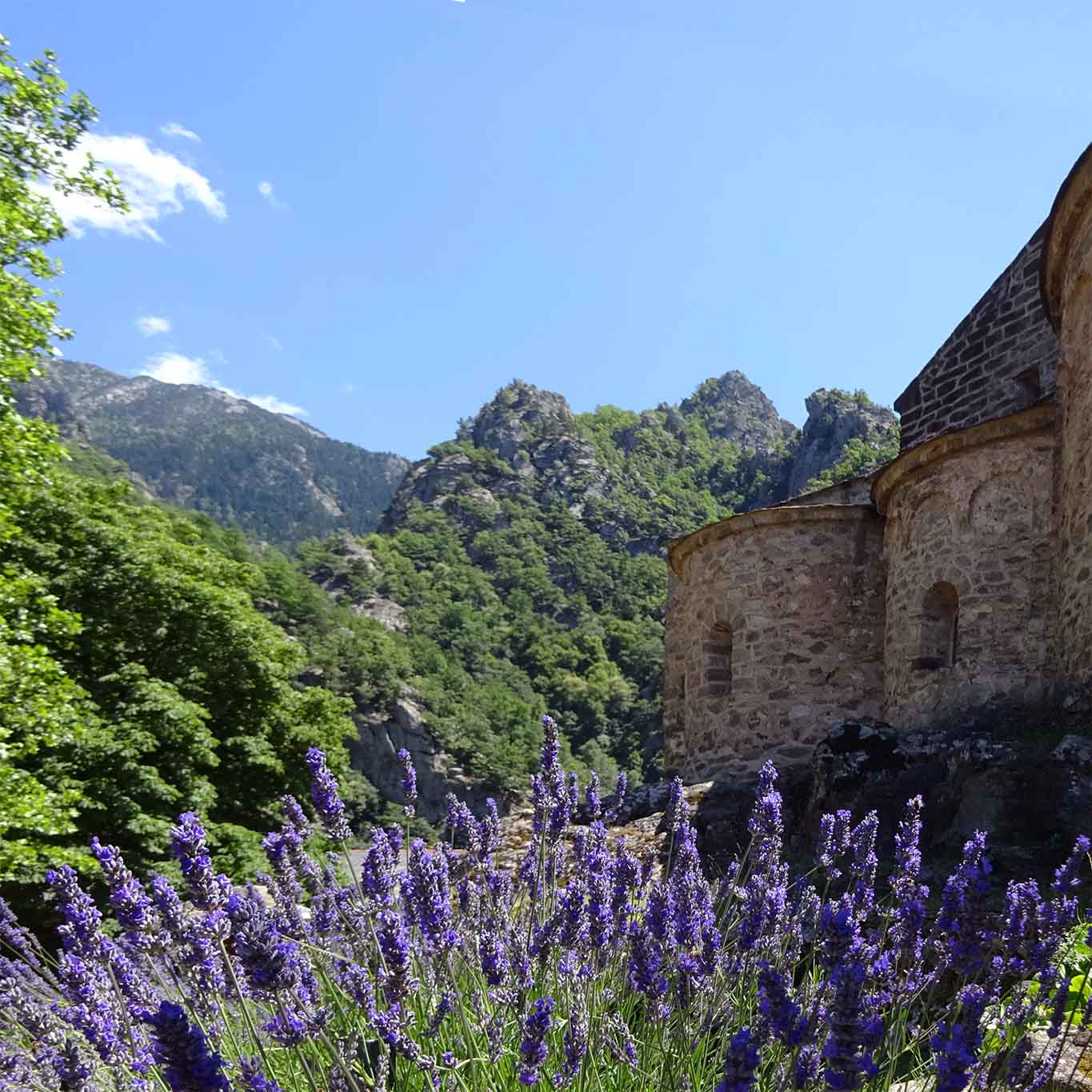 Lavendel gedeiht in den Beeten der kleinen Abtei auf dem Felsen in den Pyrenäen.