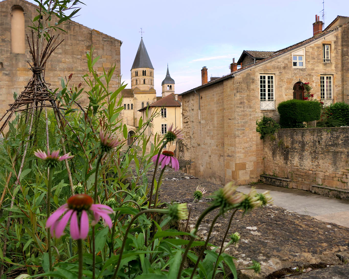 Echinaceen gab es zur Zeit der Cluniazenser-Mönche noch nicht auf europäischen Boden. Dennoch haben die Freunde des Heilkräutergartens von Cluny sie mit in ihren Garten aufgenommen.