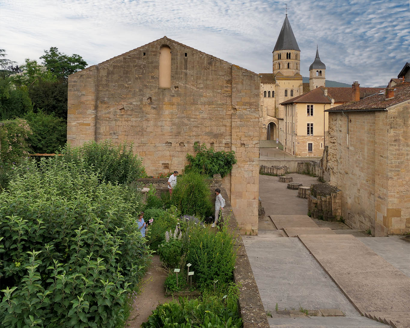 Wer bis zur Französischen Revolution Cluny sagte, meinte die einst so mächtige Abtei der Cluniazienser-Mönche im Burgund. Die Erinnerungen an die alte mächtige Abtei leben in ihren Ruinen fort. Die Bewohner Cluny’s haben einen kleinen Garten hinzugefügt. Darin finden sich all die Kräuter, die im Mittelalter wohl den Mönchen und den Menschen im Umland zur Verfügung gestanden haben könnten. Le jardin de simples - ein Garten der einfachen Kräuter, die heilen können.