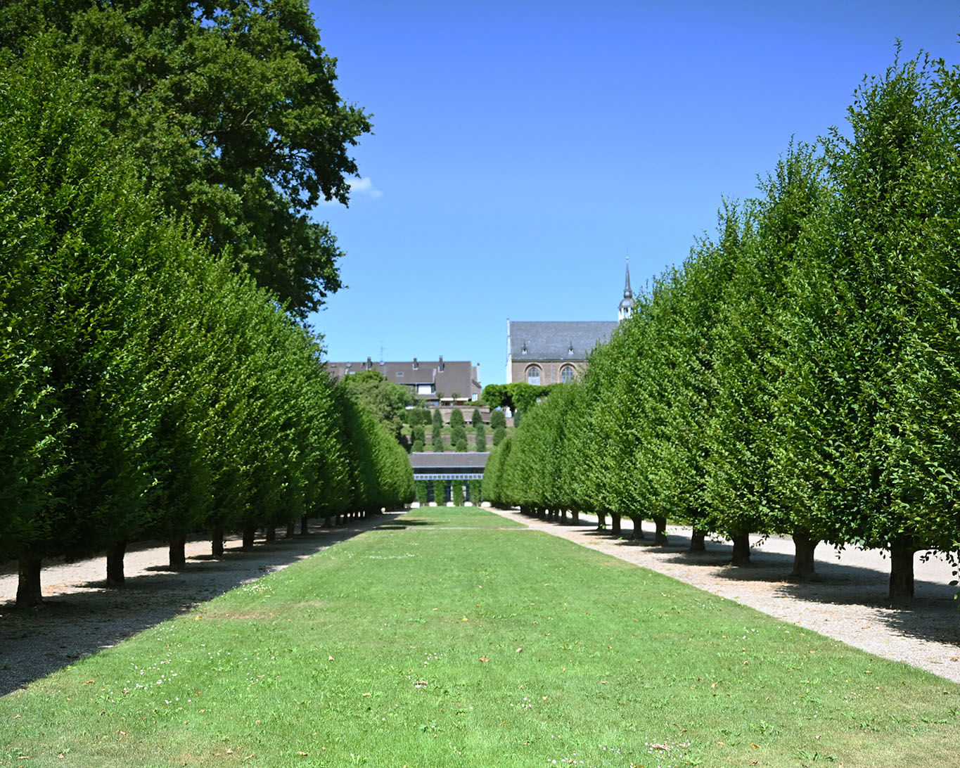 Buchenspaliere bilden Alleen am Fusse des Terassenberges von Kloster Kamp-Lintfort.