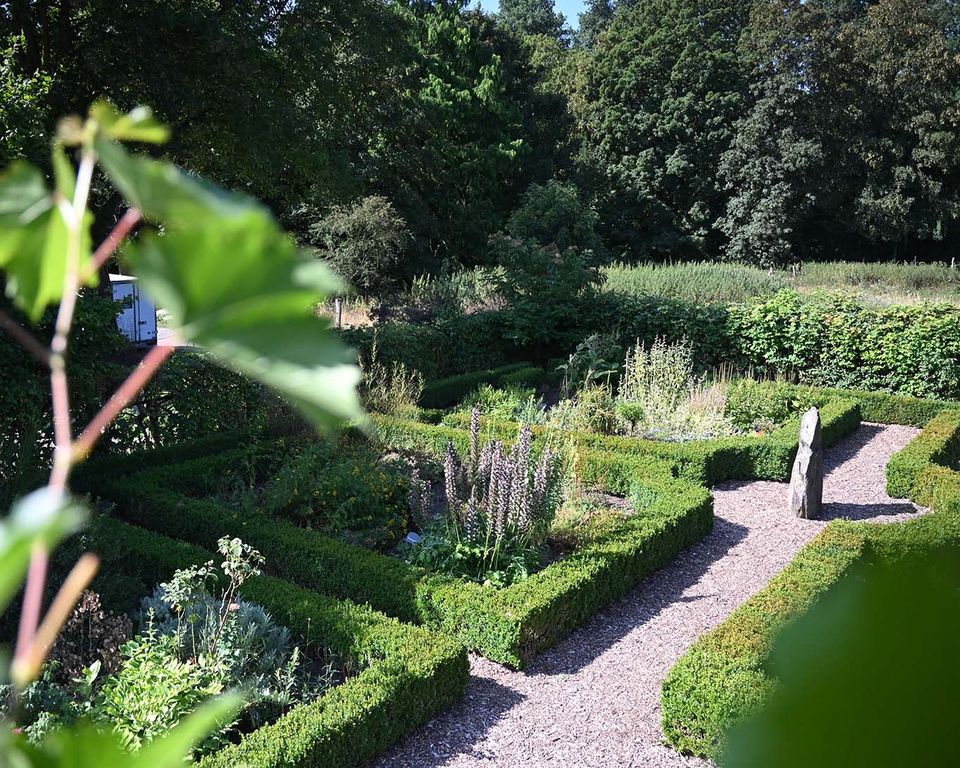 Blick auf den Kräutergarten von Knechtsteden, der klein aber fein ist.