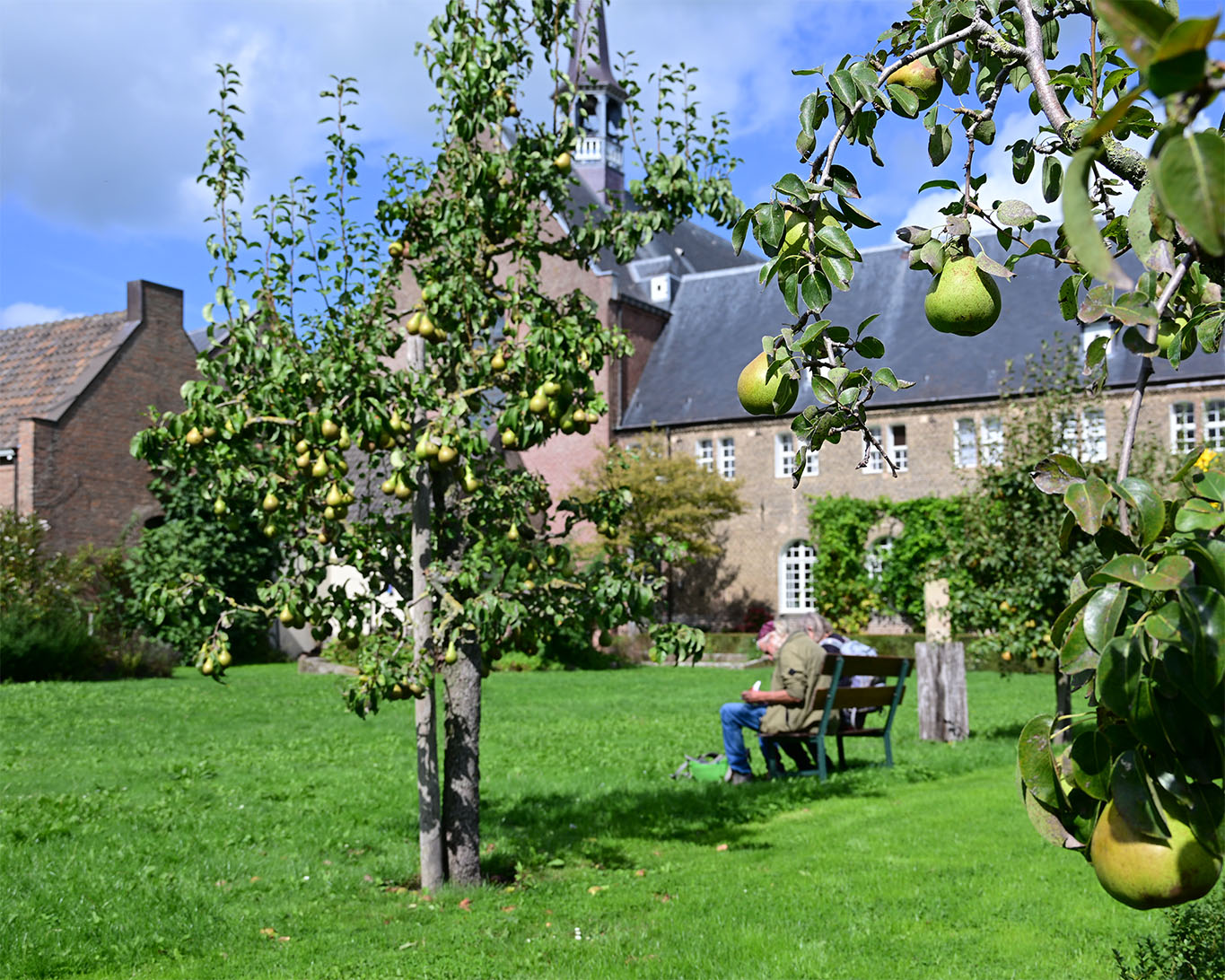 Vom ehemaligen Obstgarten sind immer noch einige Bäume im Bestand, dazwischen sind Wiesenstücke, Bänke, Beete und stille Wege.