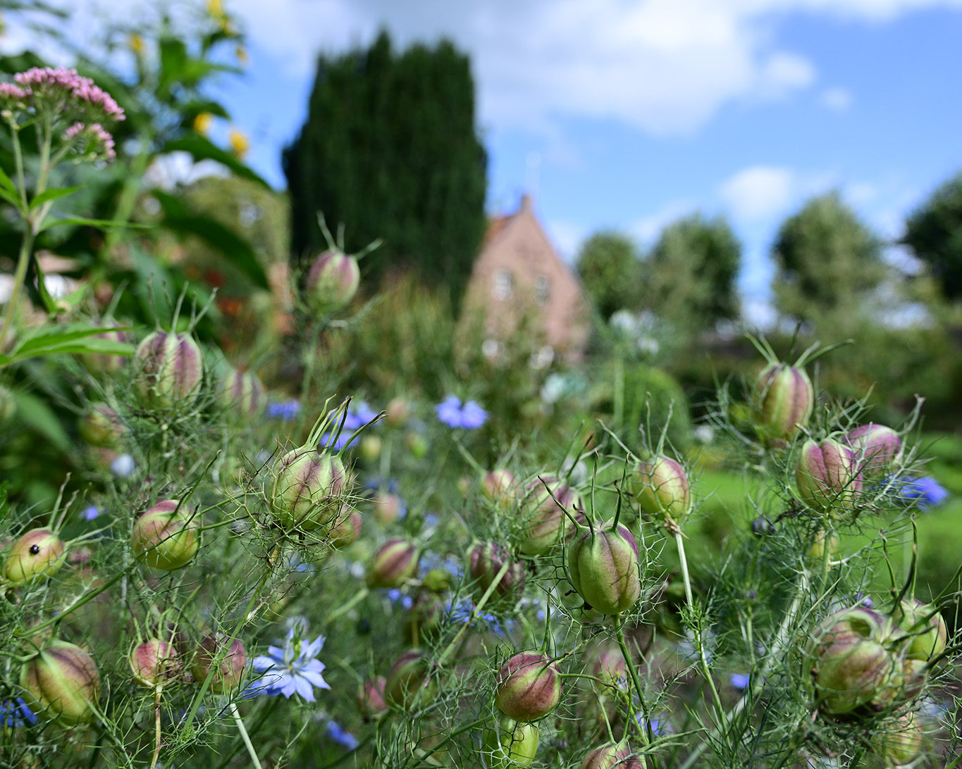 Malerische Ausblicke ergeben sich unter dem fliegenden Himmel der Niederlande aus dem Klostergarten in Megen.