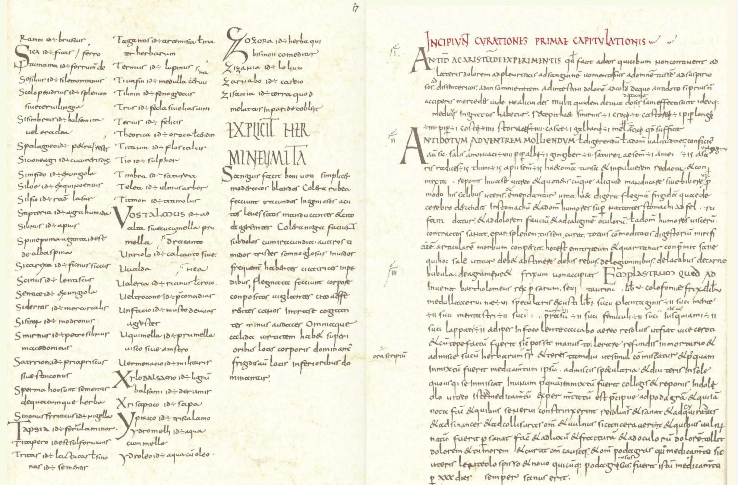 Faksimile des Lorscher Arzneibuches aus dem Buch von U. Stoll und G. Keil mit den &Uuml;bersetzungen aus dem Jahre 1989, erschienen bei der Wissenschaftlichen Verlagsgesellschaft Stuttgart.