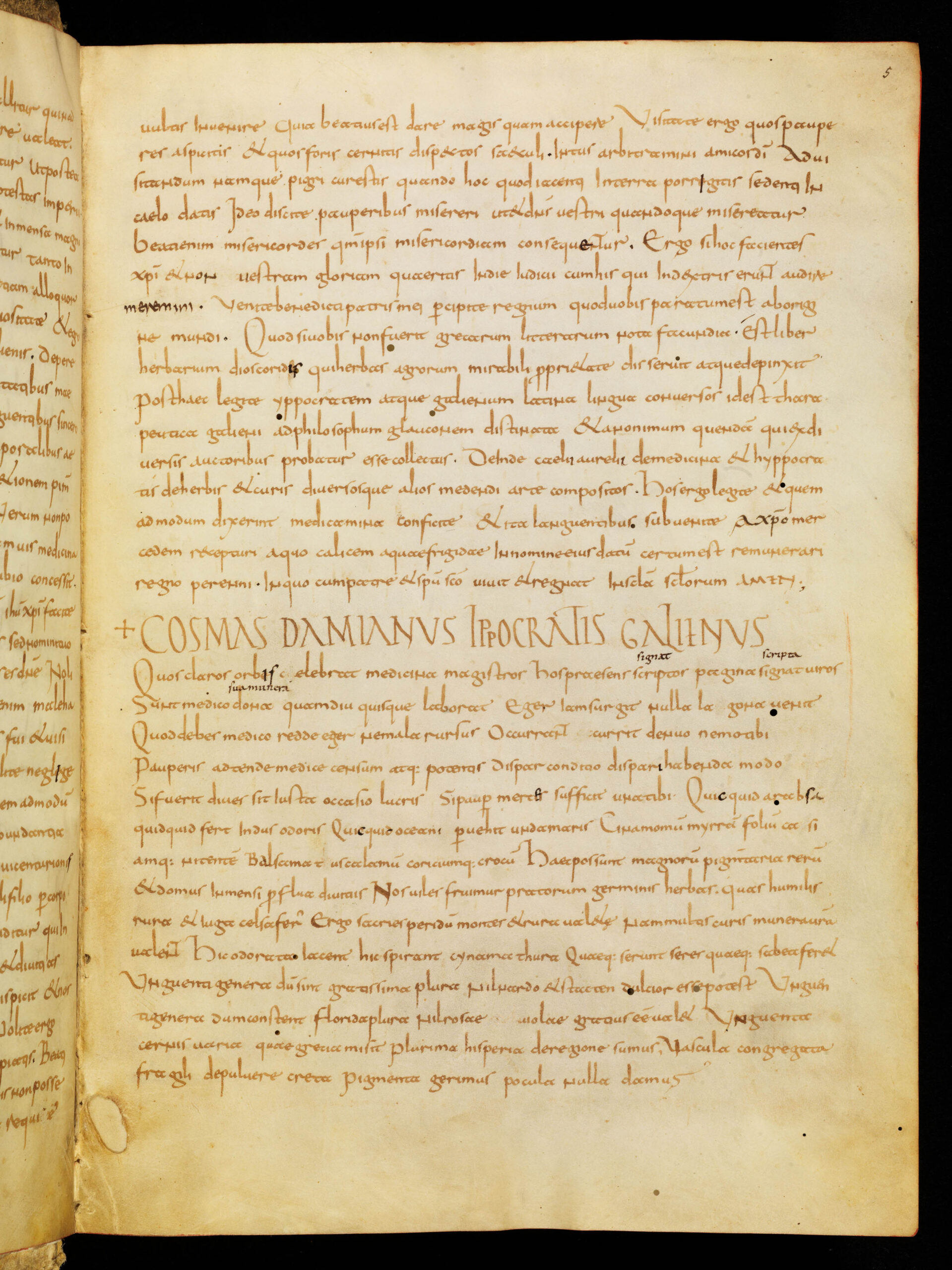 Lorscher Arzneibuch - Staatsbibliothek Bamberg Msc.Med.1, Seite 5 r, diese Kopie wurde aus dem digitalen Bibliothekskatalog kopiert.